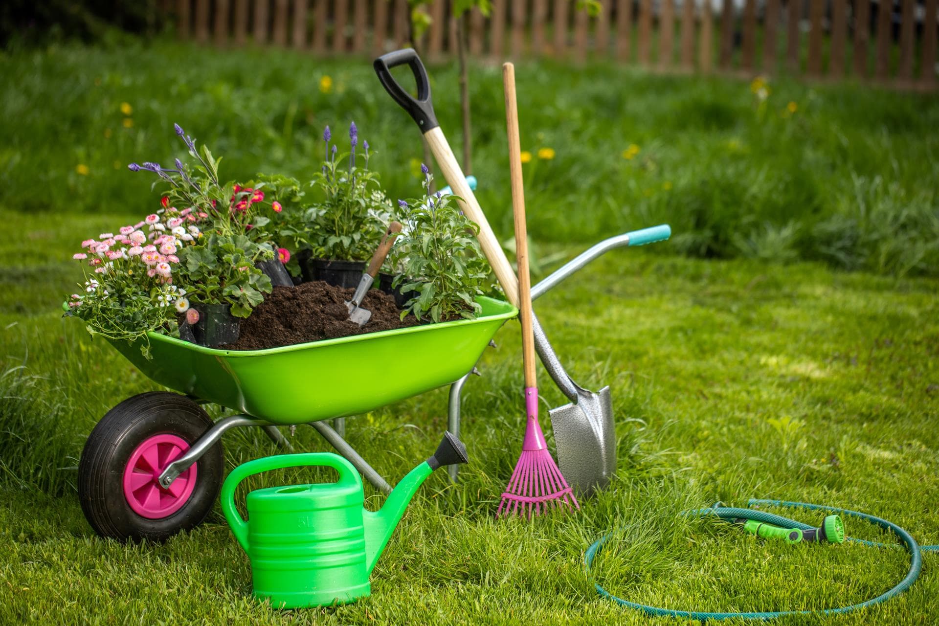 Servicio de jardinería